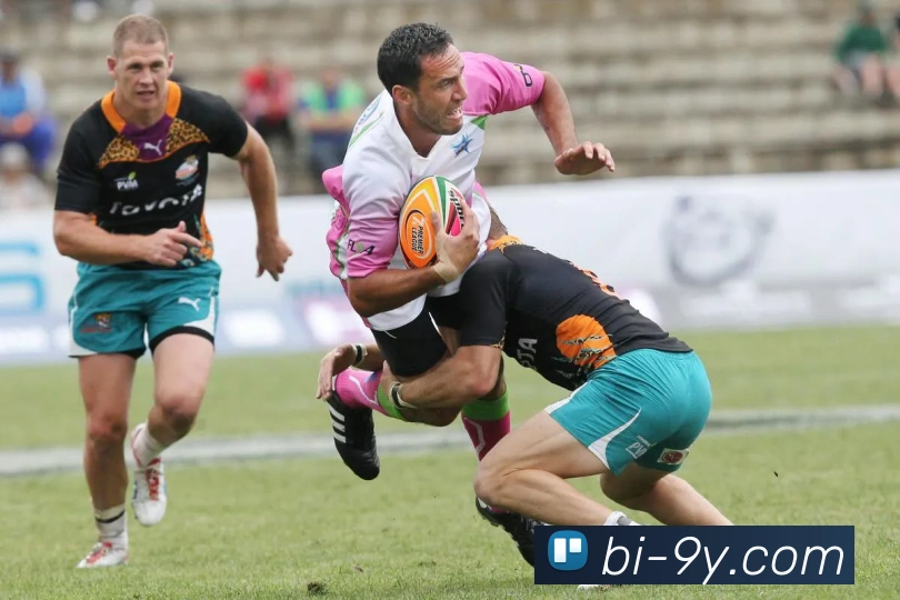 多媒体互动体验