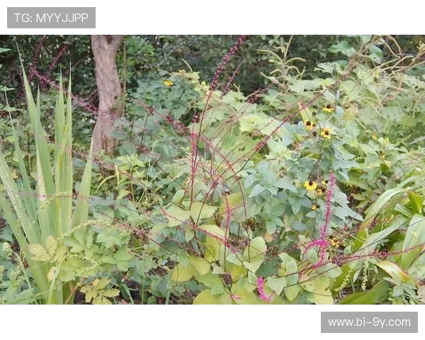 如何在实况足球中战胜传奇对手掌握技巧与策略的全方位指南